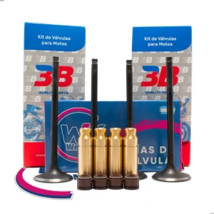 Kit Guia Bronce + Válvula 3b Susuki Dr 250 / 350 + Reten X4