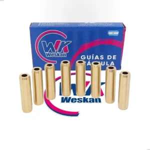 Guía De Válvulas Renault Motor K4m 1.6 / F4r 2.0 X8 - Lisa