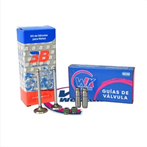 Valvula 3b Honda Biz 125 + Guias Fundición Weskan + Retenes