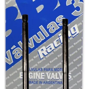 Válvulas Moto 3b Racing Mpi Yamaha Ybr 125 X2 (adm+esc)