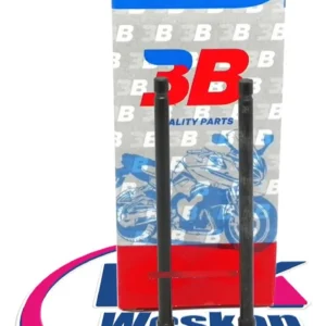 Valvula 3b De Moto Bajaj Ns 200 (adm+esc)