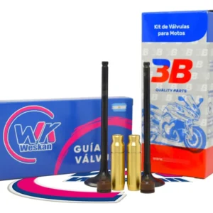 Kit Guia Bronce + Válvula 3b Susuki Dr 250 S / 350 S + Reten