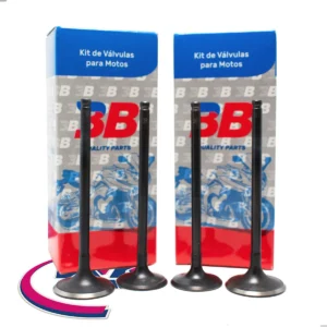 Válvula 3b Susuki Dr 250 S / 350 S - Juego X4
