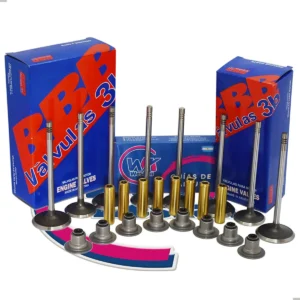 Kit Guia Bronce + Valvula Focus Zetec Rocam 1.6 8v + Retenes
