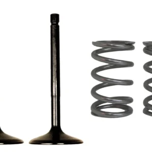Kit Valvula + Resortes Mpi Yamaha Ybr / Xtz 125 (adm+esc)