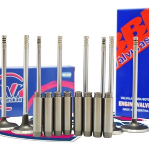 Kit Guia + Valvula Fiat Grand Siena / Palio Nuevo Evo 1.4 8v