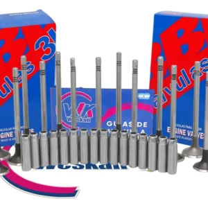 Kit Guia Fundicion + Válvula 3b Volkswagen Amarok 2.0 Tdi