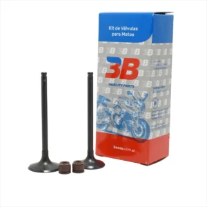 Valvula De Moto 3b Honda Cg Titan 150 / Xr 150 L +  Retenes