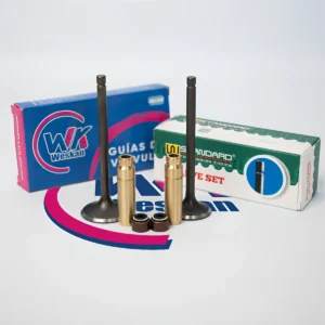Valvula Wstd Yamaha Ybr / Xtz 250 + Guía Bronce + Retenes