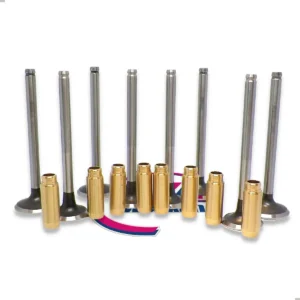 Valvulas 3b + Guias Bronce Renault R19 / Clio 1.9 Diesel X8
