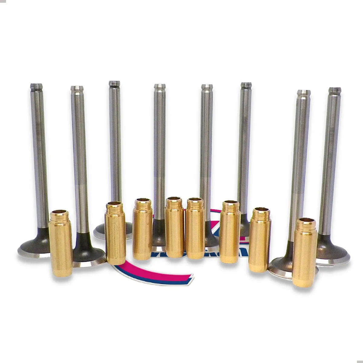Valvulas 3b + Guias Bronce Renault R19 / Clio 1.9 Diesel X8
