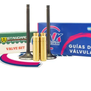 Kit Guías Bronce + Valvulas De Moto Yamaha Ybr / Xtz 250