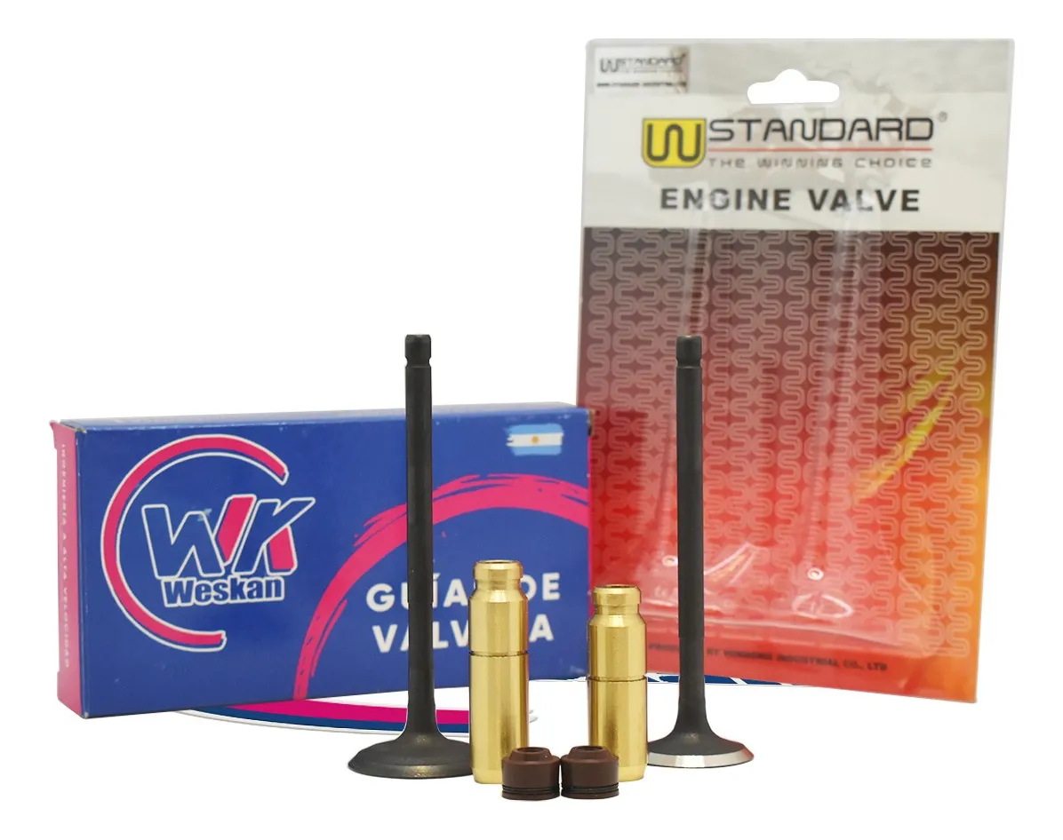 Kit Valvulas + Guías De Bronce De Moto Yamaha Fz 16 X2