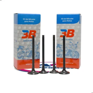 Valvula Moto 3b Honda Cb Twister 250 New X4