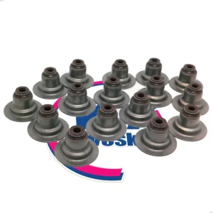 Retenes De Valvulas Renault K4m 1.4 / 1.6 16v X16 Premium