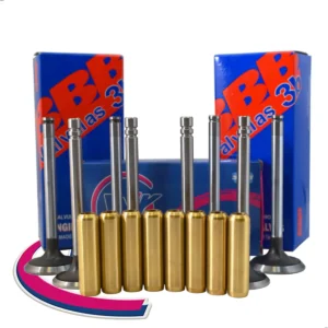 Kit Valvula + Guias Renault 5 / 6 / 10 / 12 1.4 Trafic X8