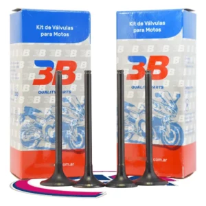 Valvula Moto 3b Honda Twister / Tornado / Cbx 250 X Juego