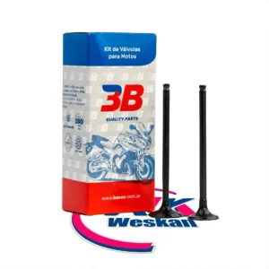 Válvula 3b Suzuki Gn 125 / 250 - Dr 100 / 125 / 200