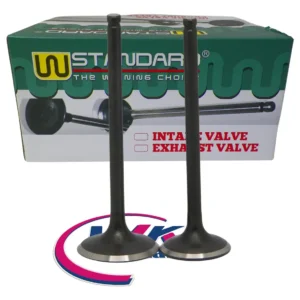 Valvula Moto Wstandard Motomel Dakar 200 X Juego
