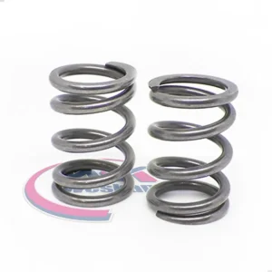 Resortes De Valvula Mpi Honda Twister / Tornado 250 -  Duro