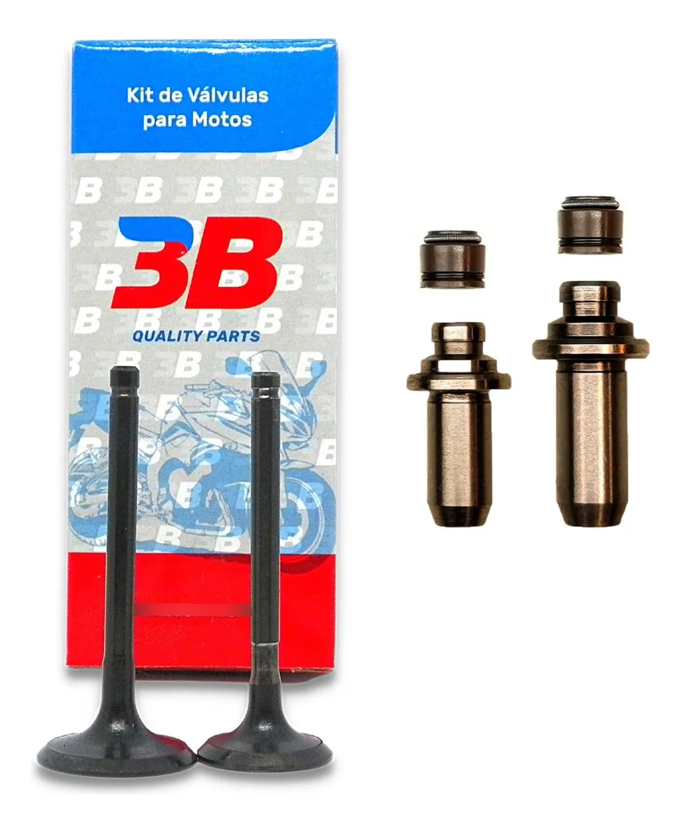 Kit Valvula + Guias Fundicion 3b Gilera Smash 125 + Retenes