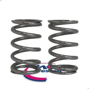 Resortes De Valvula Mpi Yamaha Ybr 125