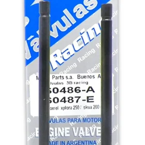 Valvula 3b Racing Mpi Motomel Xplora 250 /  Skua 200