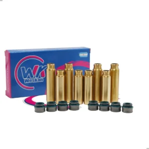 Kit Guia Bronce Renault Clio Energy 1.4 / 1.6 K7j K7m + Rtn