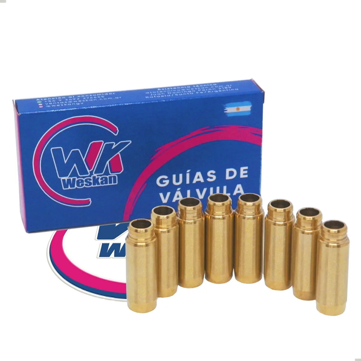 Guia De Válvula Renault F8m / F3p / F3r / F8q 1.9 Bronce X8
