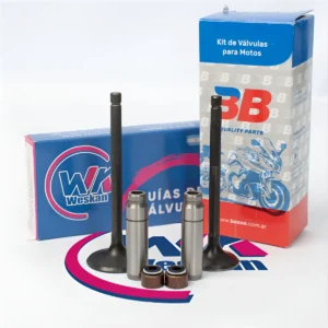 Valvula 3b Yamaha Xt 225 / Xtz / Ybr 250 + Guia Fund + Reten