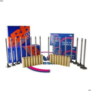 Kit Guias Bronce + Valvula Renault Kangoo Twingo 1.2 16v D4f