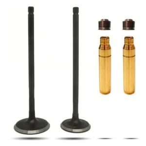 Kit Valvulas + Guías Bronce De Moto Bajaj Rouser Ns 200 X2