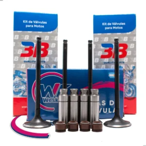 Kit Guia Fund. + Válvula 3b Susuki Dr 250 / 350 + Reten X4